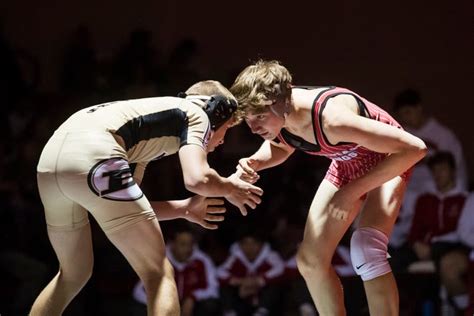 Ohio State wrestling: Bermudian Springs Hogan。